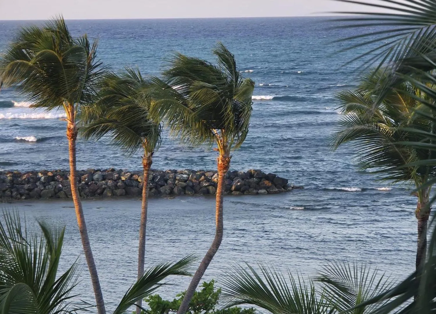 King Suite Oceanview Private Access Beach Dorado Apartman